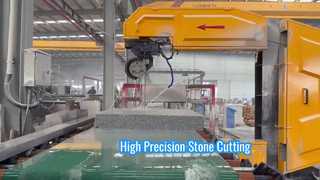 Máy cưa dây kim cương CNC đứng VCWS-800-03