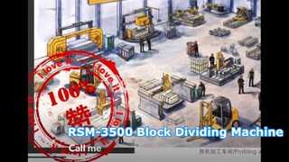 Máy chia khối RSM-3500