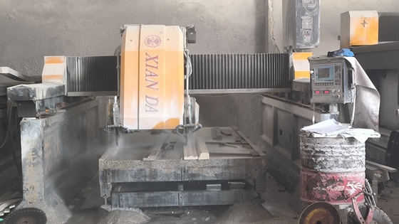 Loại cầu Máy phay và cắt tuyến tính chùm kép